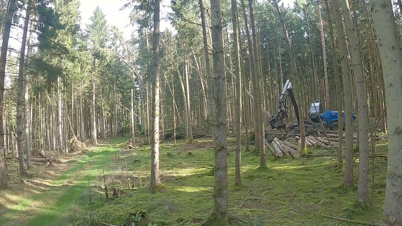 Harvester ROTTNE H21D  #forstwirtschaft #harvester #holzfäller #farming #wald
