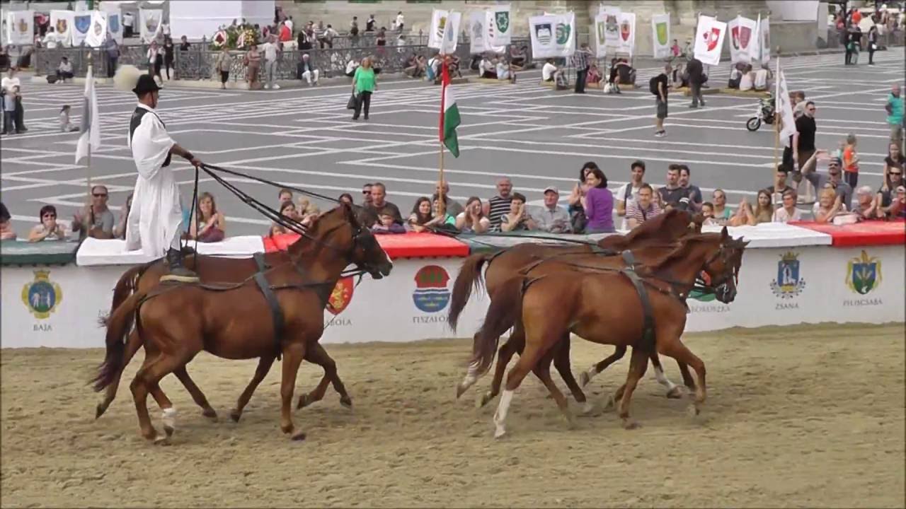 Nemzeti Vágta 2016 - Puszta-ötös