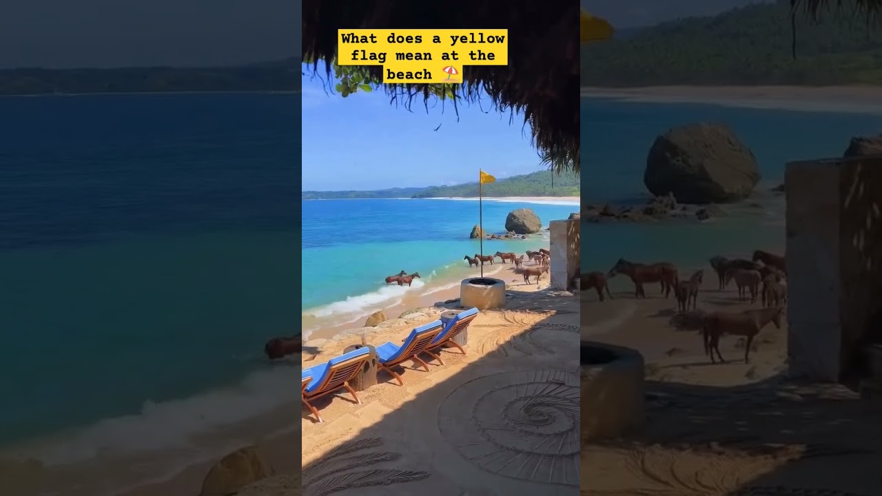 What does a yellow flag mean at the beach 🏖️