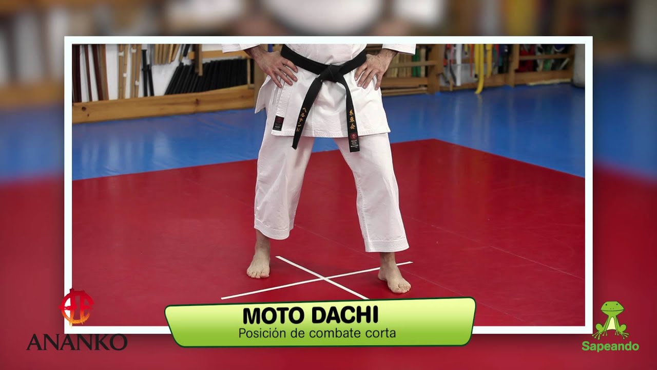 Posiciones 1 - Karate-do