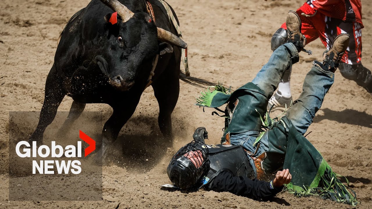 Teenage bull rider dies at weekend rodeo competition near Calgary