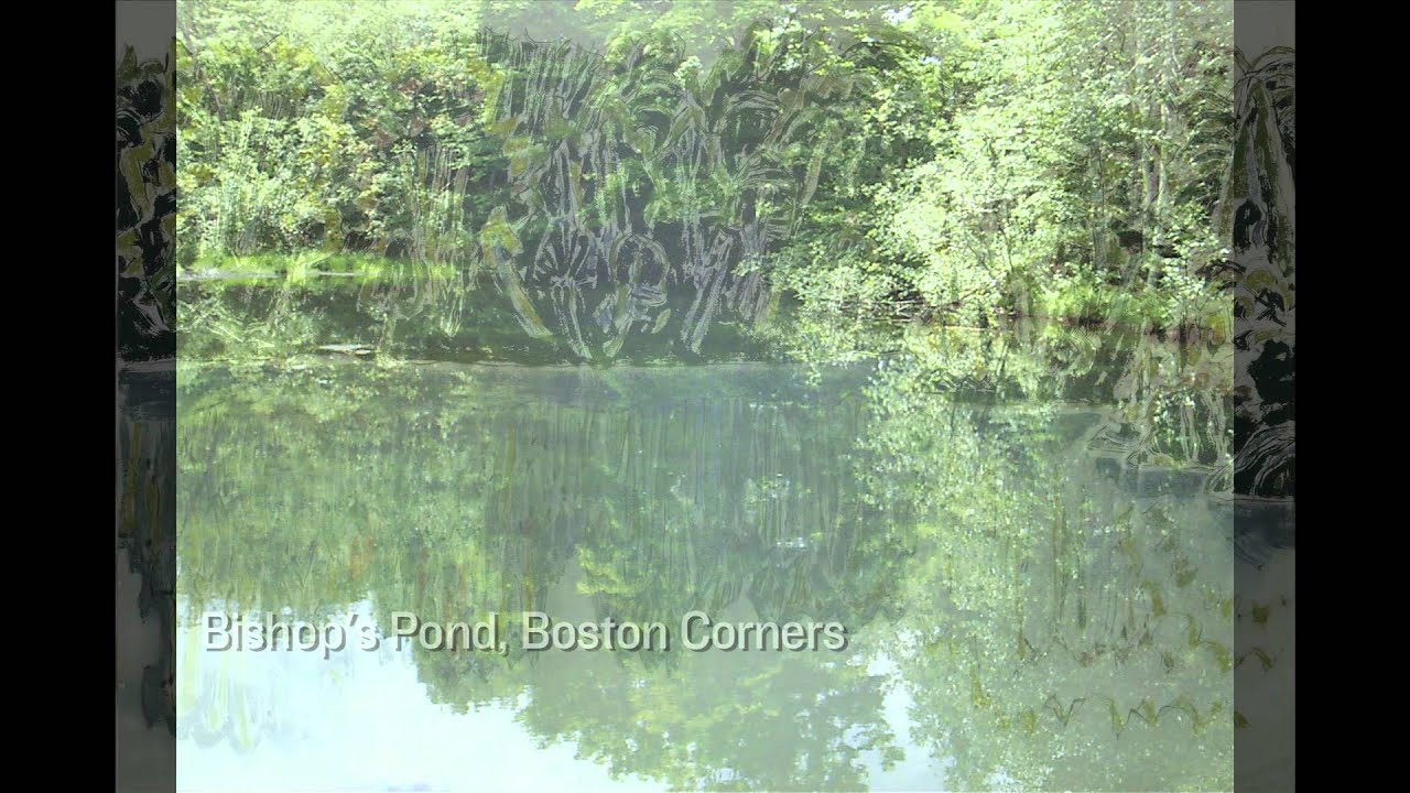 David Milne: Upstate New York