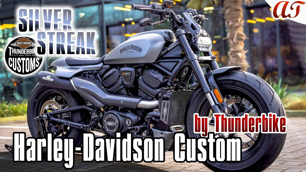 Harley-Davidson SPORTSTER S Custom 2024 года: SILVER STREAK * Дизайн A&T