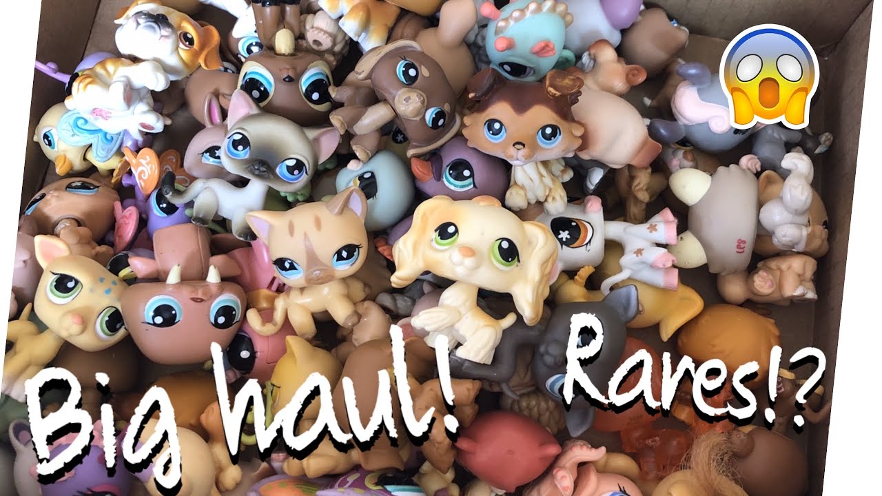 Big LPS haul from eBay! 80+ pets