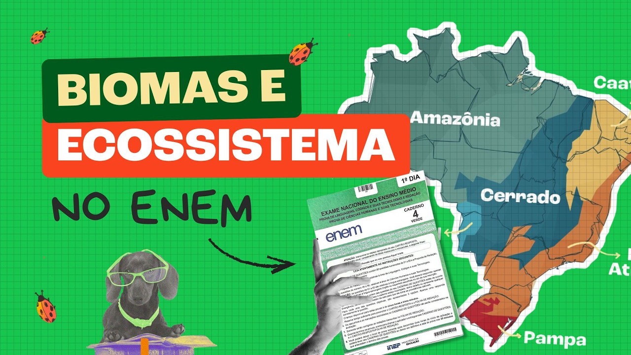 Tudo sobre Ecossistemas &ndash; Resumo de Biologia pro ENEM 📚