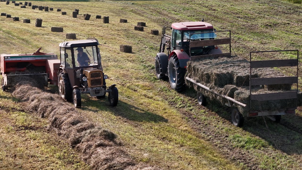 Drugi pokos traw na siano, Zetor Proxima ursus C-330, prasa sipma.