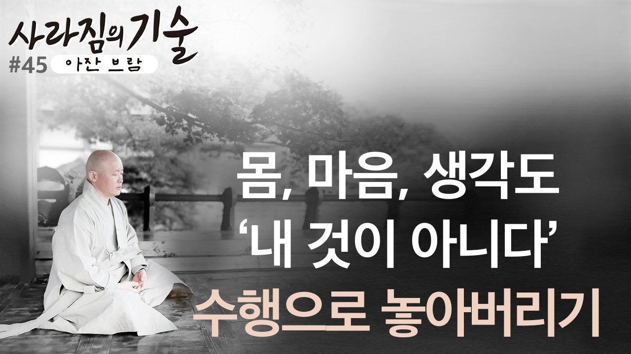 의식의 소멸은 괴로움의 완전한 소멸의 일부이다.ㅣ자아관념 버리는 길ㅣ45강ㅣ혜안스님