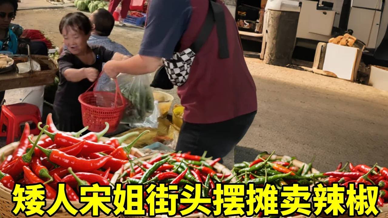 矮人宋姐为赚钱摆摊卖辣椒，今天生意真好，不一会就卖完收摊了！#农村生活#袖珍人