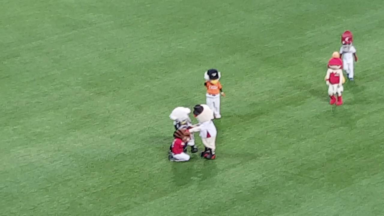 2016년 KBO 올스타 ㅡ 마스코트들 장난 ㅋㅋ