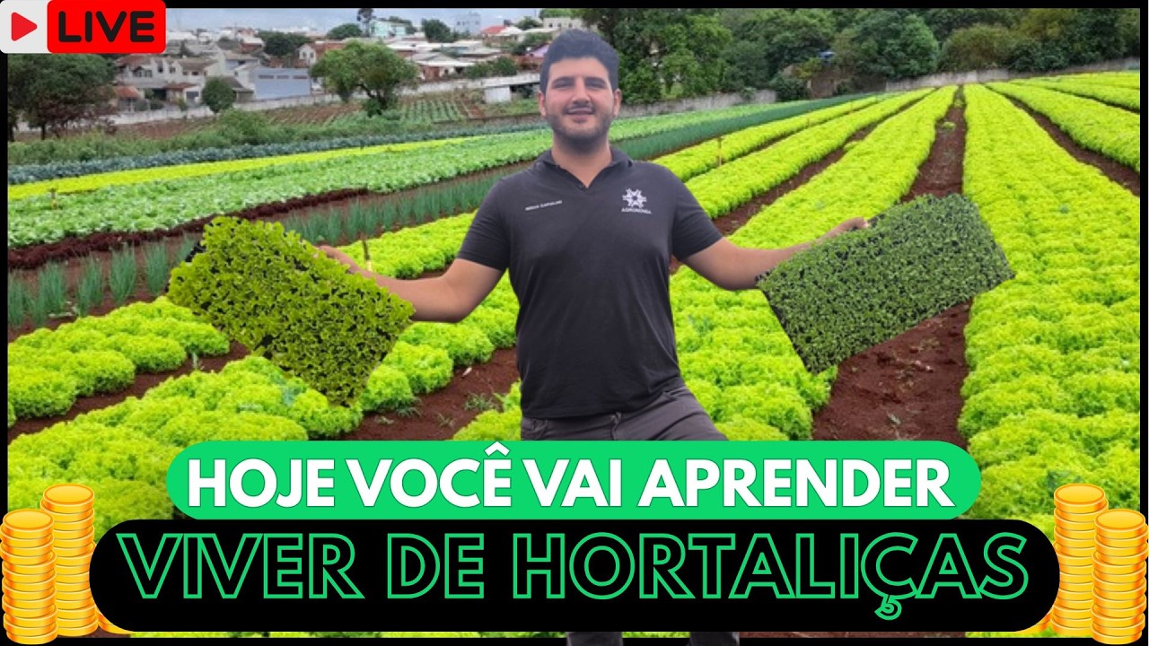 APRENDA A PRODUZIR COM QUALIDADE! ESSA VAI SER SUA VIRADA DE CHAVE COM HORTALIÇAS
