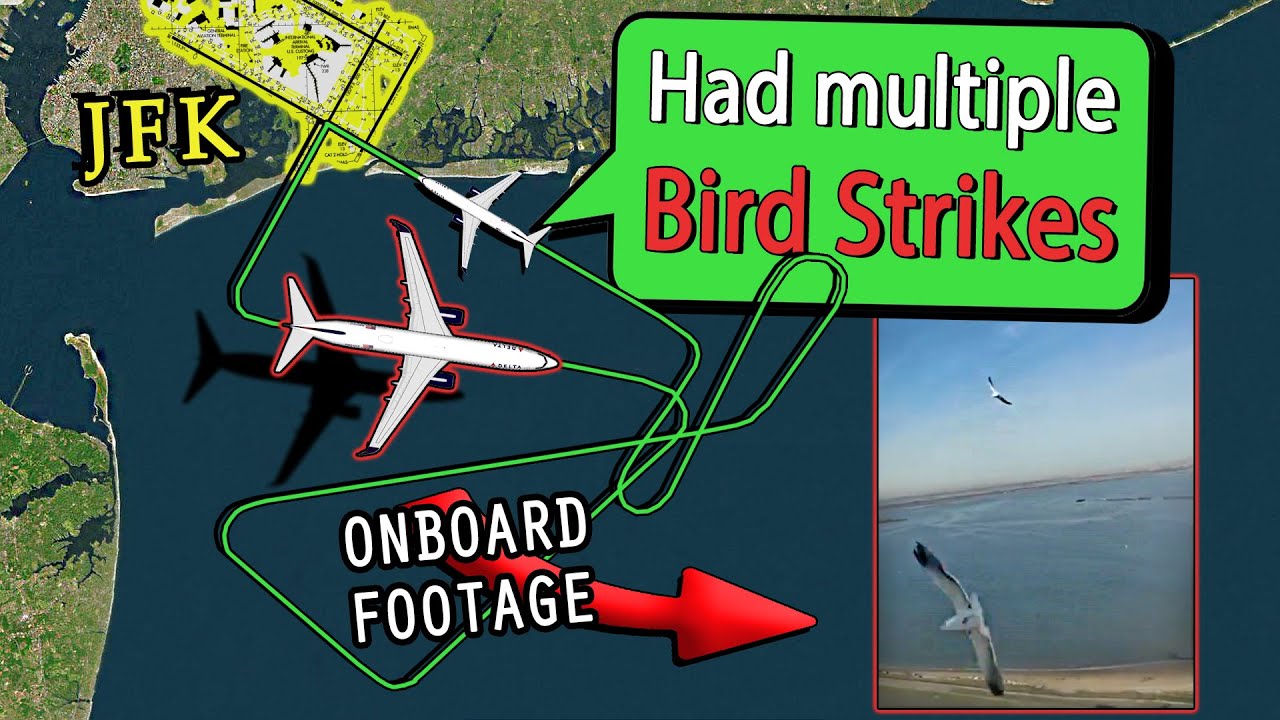 ENGINE FAILURE AFTER MULTIPLE BIRD STRIKES | Delta B738 at Kennedy