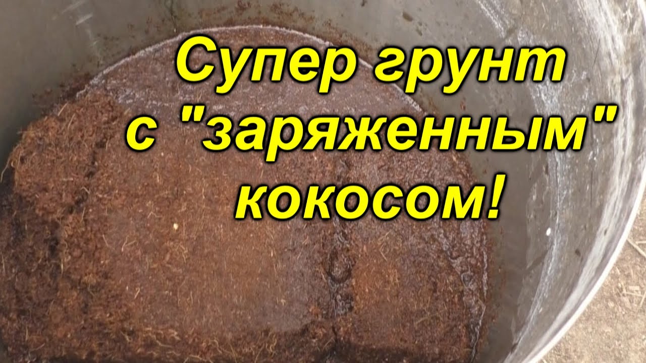 Правильное приготовление кокосового субстрата+заправка его 
