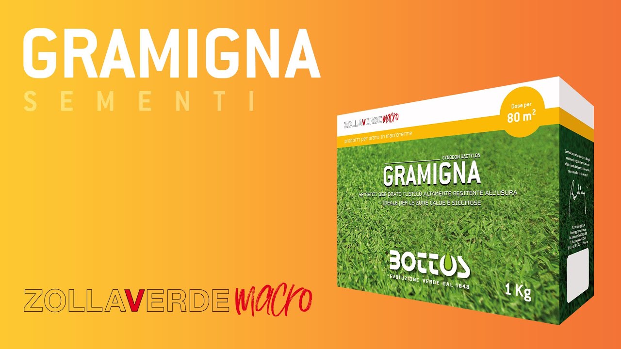 SEMENTI MACROTERME: Gramigna (100% Cynodon Dactylon var. com.)