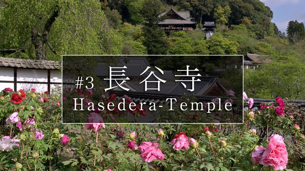 長谷寺編「第３話」｜奈良観光コンシェルジュが桜井市のお寺をご紹介：Hasedera-Temple in Sakurai City｜Nara