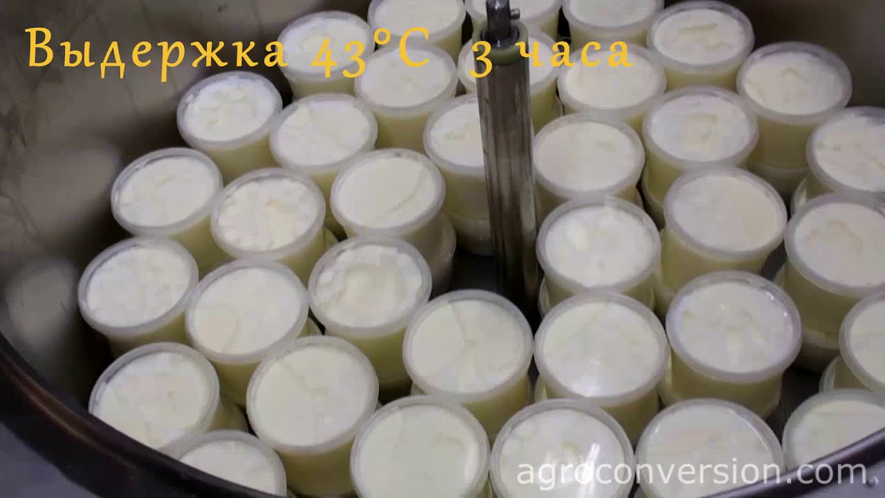 Мини-завод молочных продуктов 