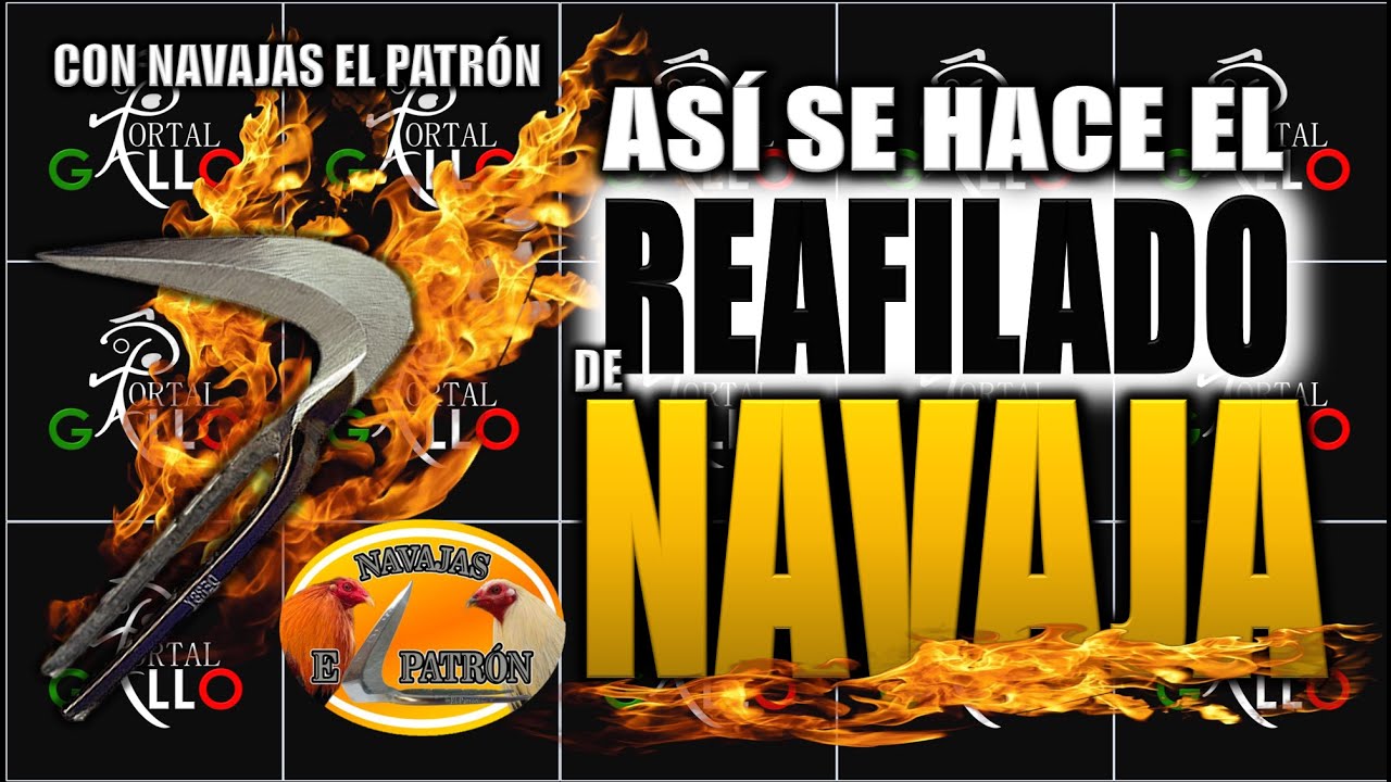 ASÍ SE REAFILAN LAS NAVAJ@S PARA LOS GALLOS DE PELE@ #PortalGallo