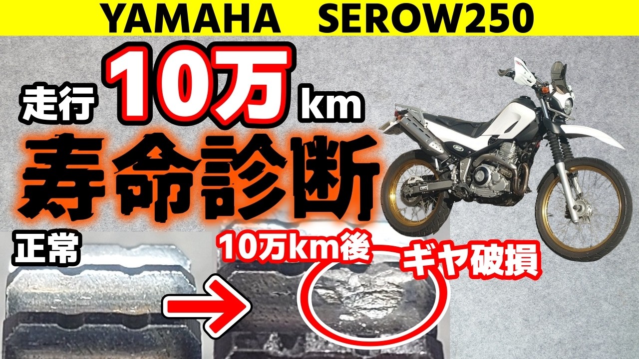 【完全解説】エンジンオーバーホール【ヤマハ セロー250】DIYバイク整備｜トリッカー、XT250X乗りも必見
