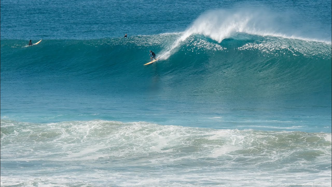 Best Tres Palmas Swell of 2025 at Rincon, Puerto Rico (Compilation)