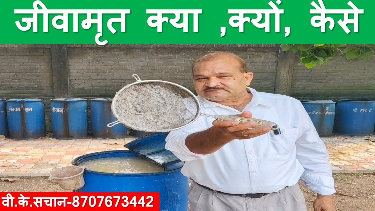 Natural farming, जीवामृत में गोबर एवं मूत्र की कोई जरूरत नहीं।