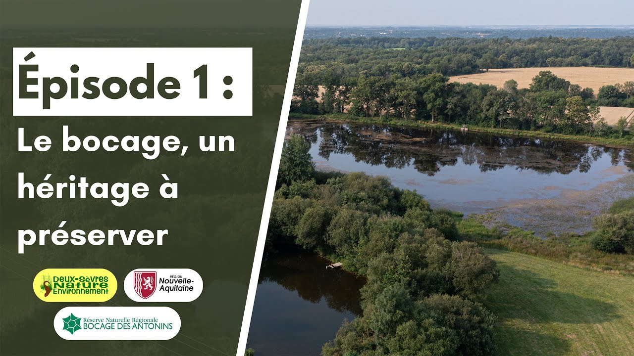 RNR Bocage des Antonins - épisode 1 : Le bocage, un héritage à préserver