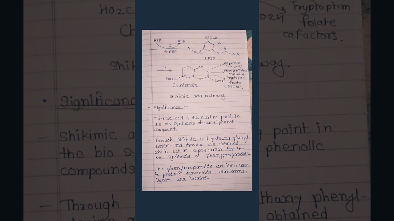 Shikimic acid pathways and its significance