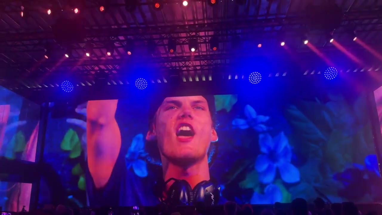 Avicii Forever Tomorrowland 2025 tribute