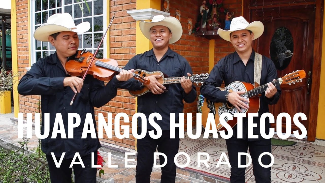 Huapangos Huastecos por el trío Valle Dorado de Álamo Ver.