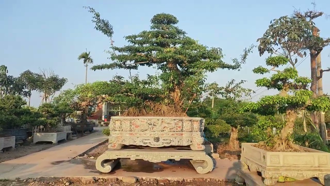 Siêu phẩm Vip nhất vườn , quá đẳng cấp ☎️ 0347.319.923 