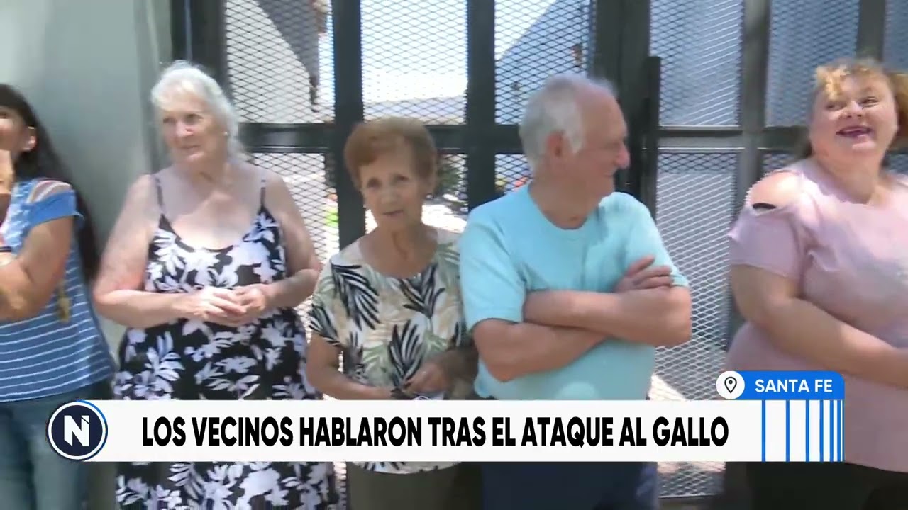 A los tiros contra un gallo: le molestaba el cacareo y le pegó tres tiros | TELEFE ROSARIO
