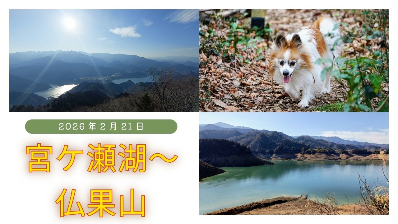 2月21日 宮ケ瀬湖～仏果山～高取山