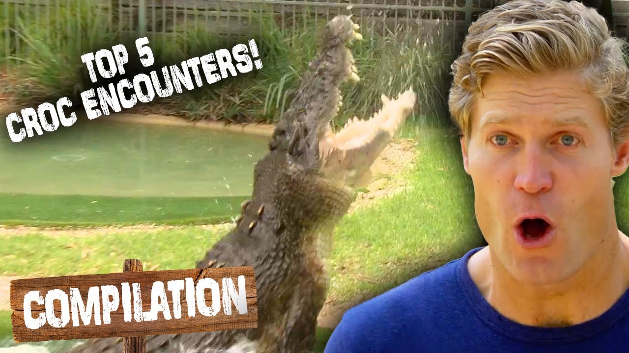 Top 5 CRAZY Croc Encounters! 🐊 | Untamed Compilation