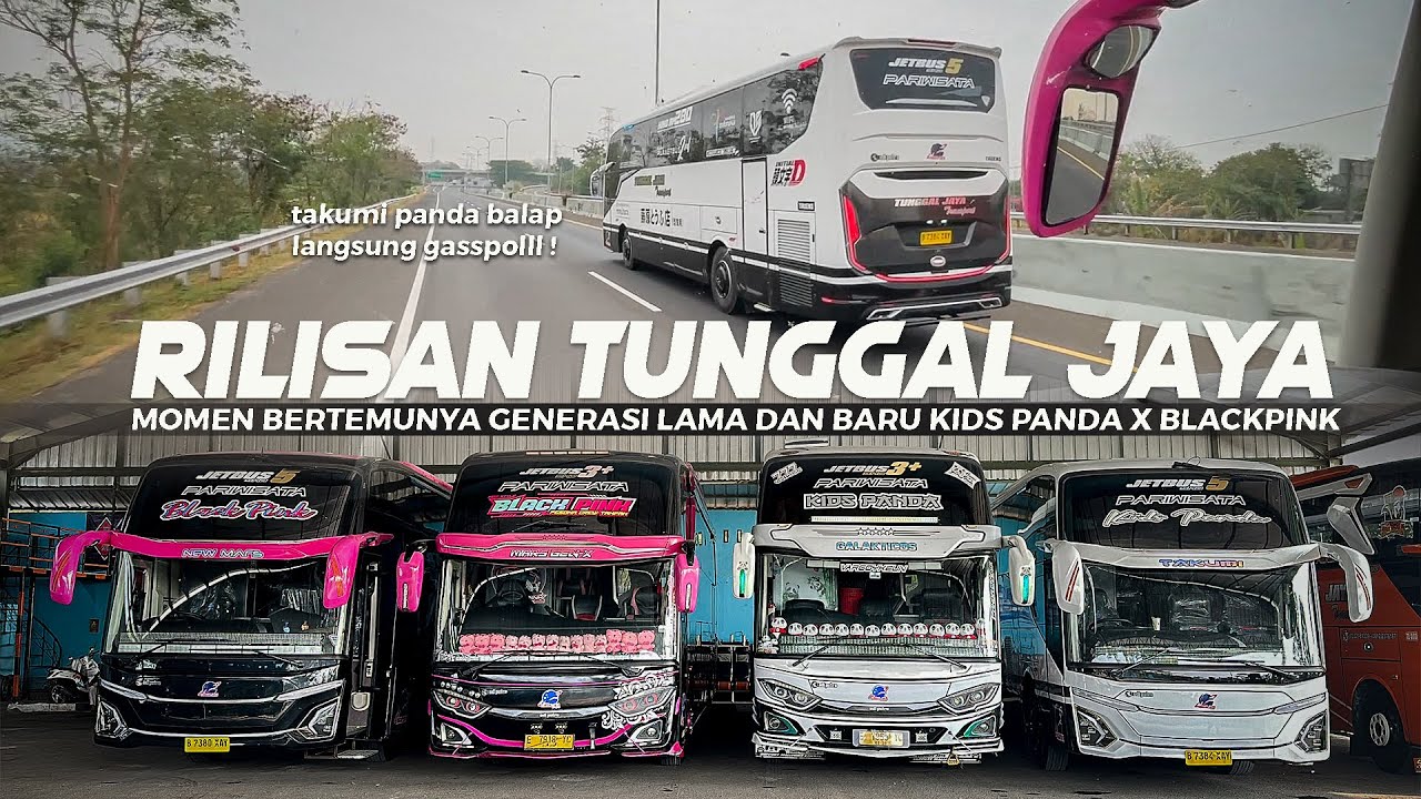 [ MOMEN BERTEMUNYA KIDS PANDA LAMA DAN BARU ! ] TAKUMI PANDA LANGSUNG GASSPOL ! Rilisan Tunggal Jaya