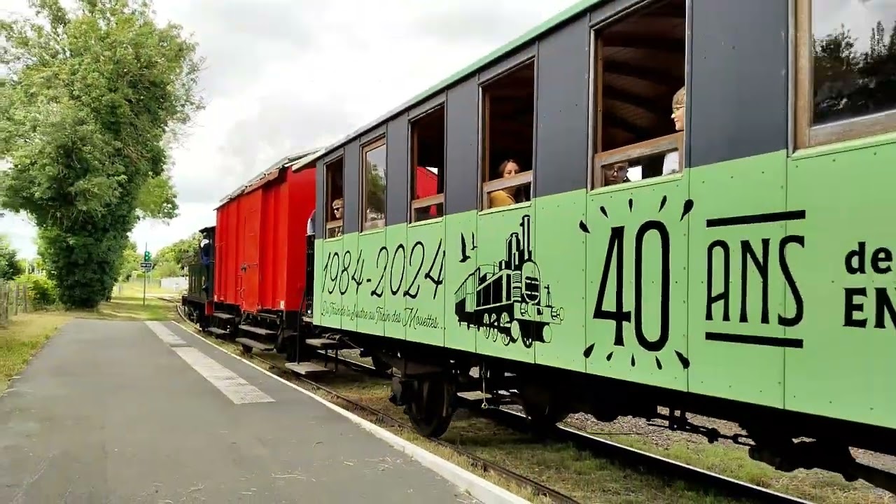 2024, juillet- Entre Saujon et Chaillevette-Le Train des Mouettes