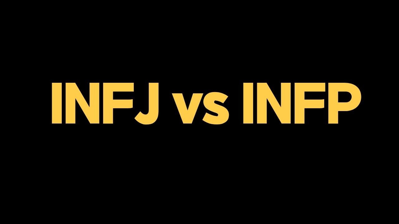 INFJ와 INFP의 결정적 차이 5가지 (생각보다 완전히 다릅니다)