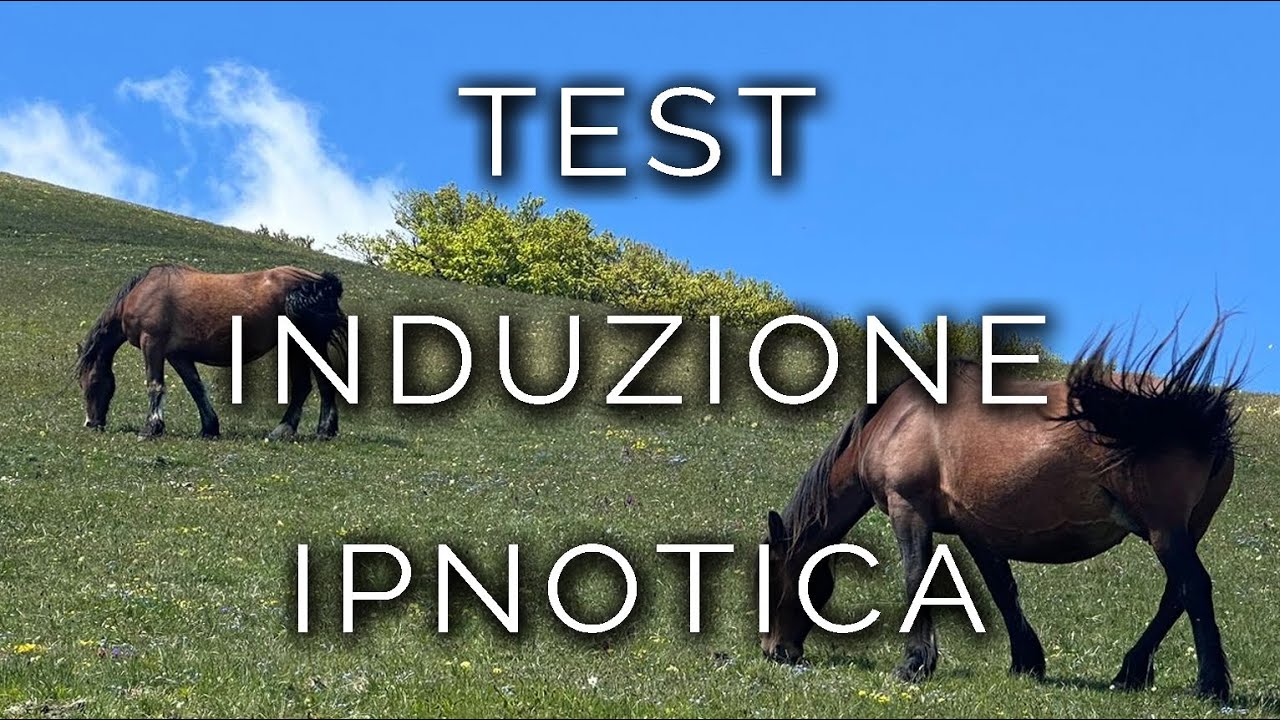 1700-IT TEST DI INDUZIONE IPNOTICA - Ipnosi Esoterica &infin; Lucio Carsi