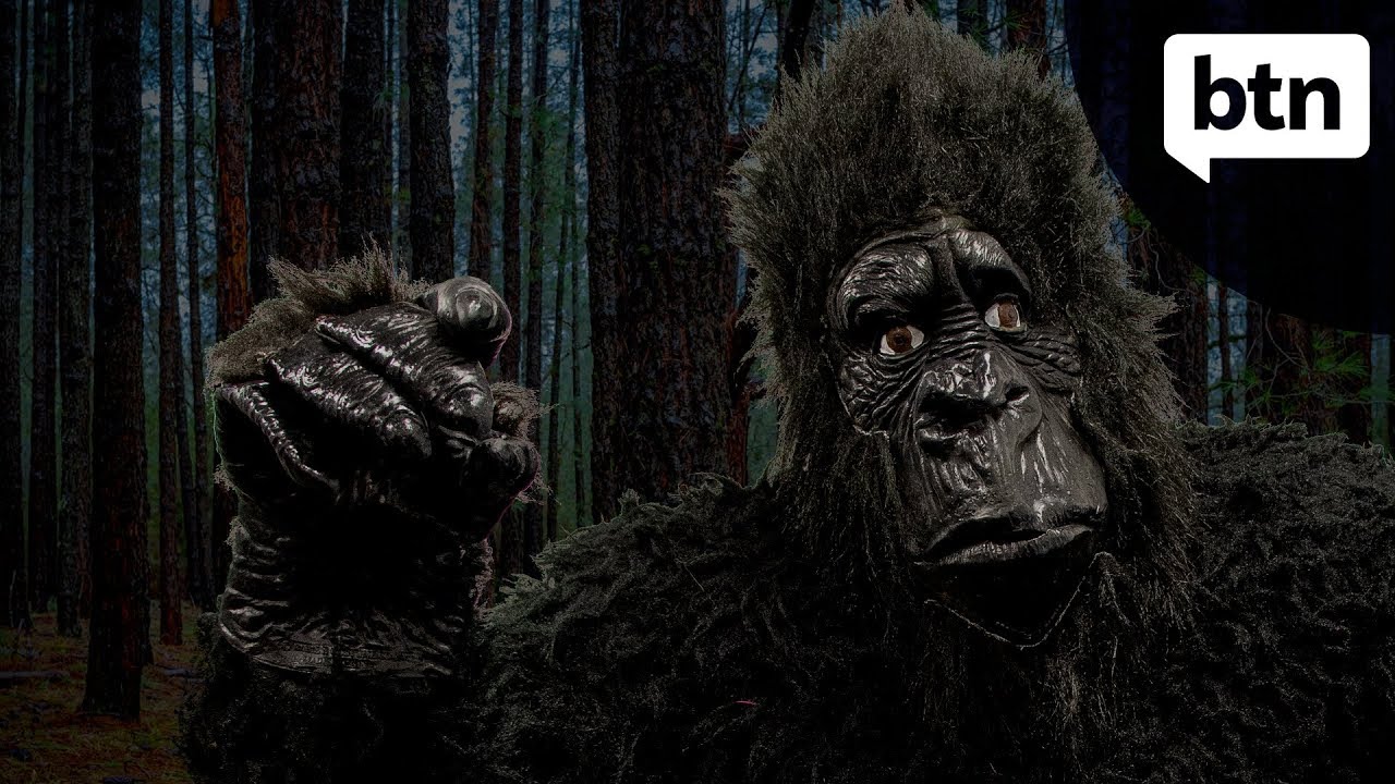 Bigfoot - Behind the News