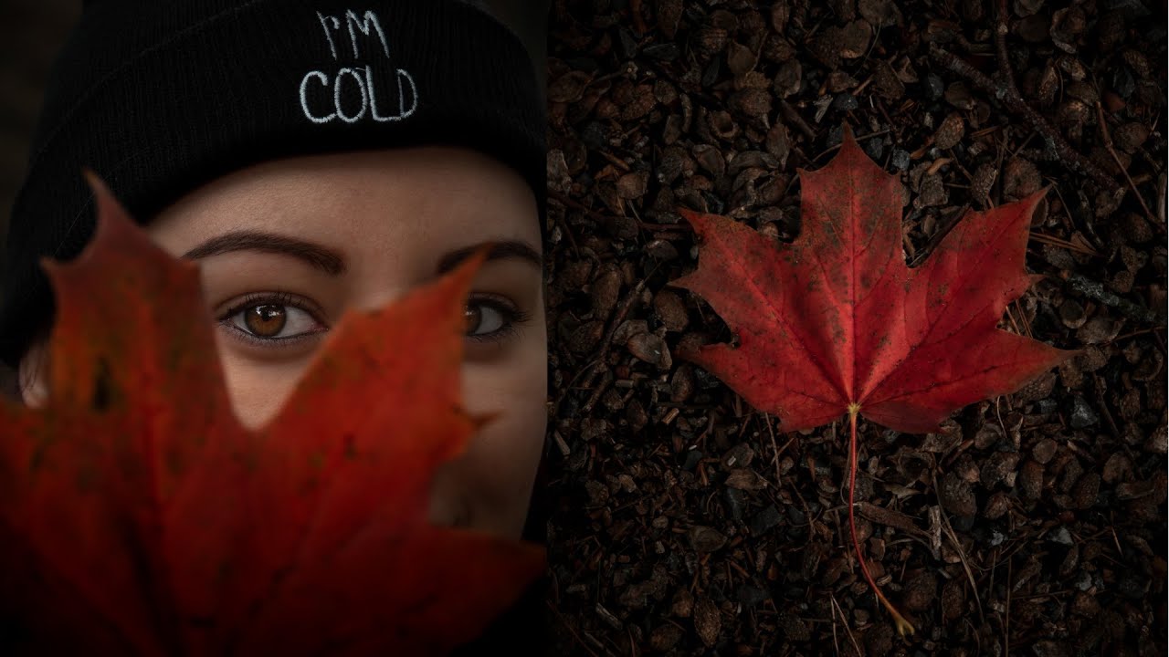 Autumn Photography Ideas (Moody Edits) - Photo Walk in Ireland