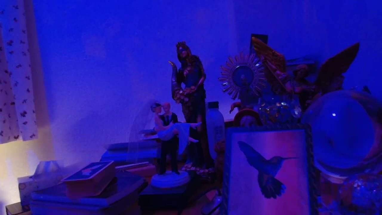 NO ESPERABA LO QUE HA SUCEDIDO CON TU PERSONA ESPECIAL LA KÁRMICA SE VA A LA MIER
