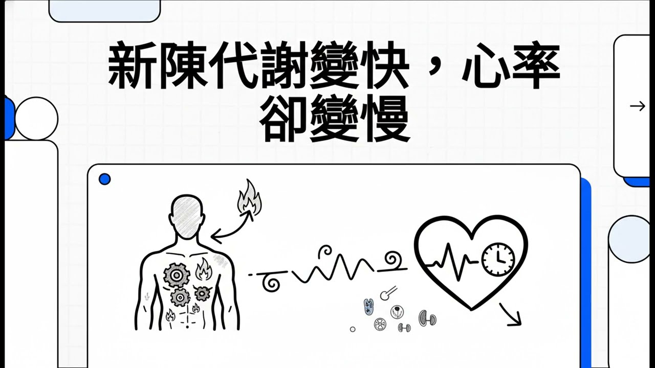 新陳代謝變快，心率卻變慢