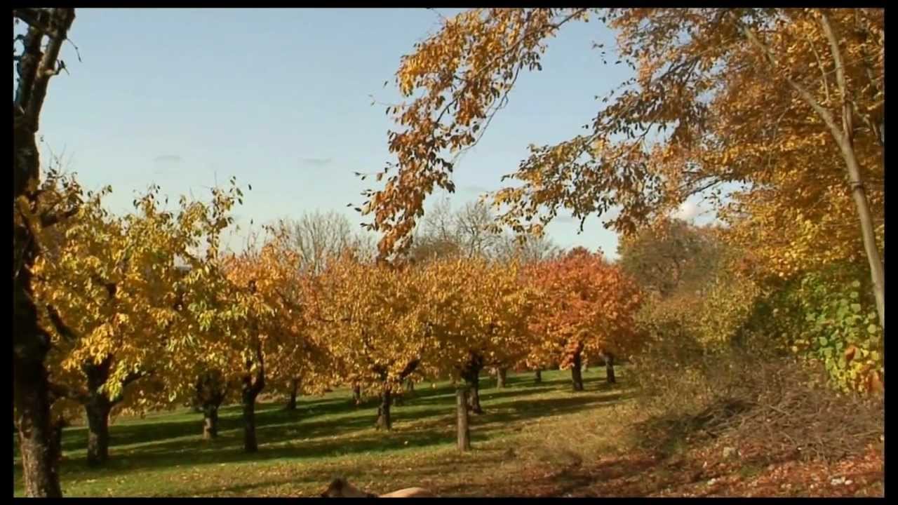 Wandern Franken: Spätberbst Leutenbach-Hetzelsdorf