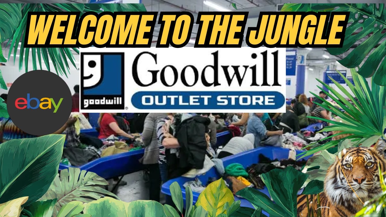 Goodwill Bins Haul = Cheap Inventory To Sell Online.  #thrifting #reselling #goodwilloutlet