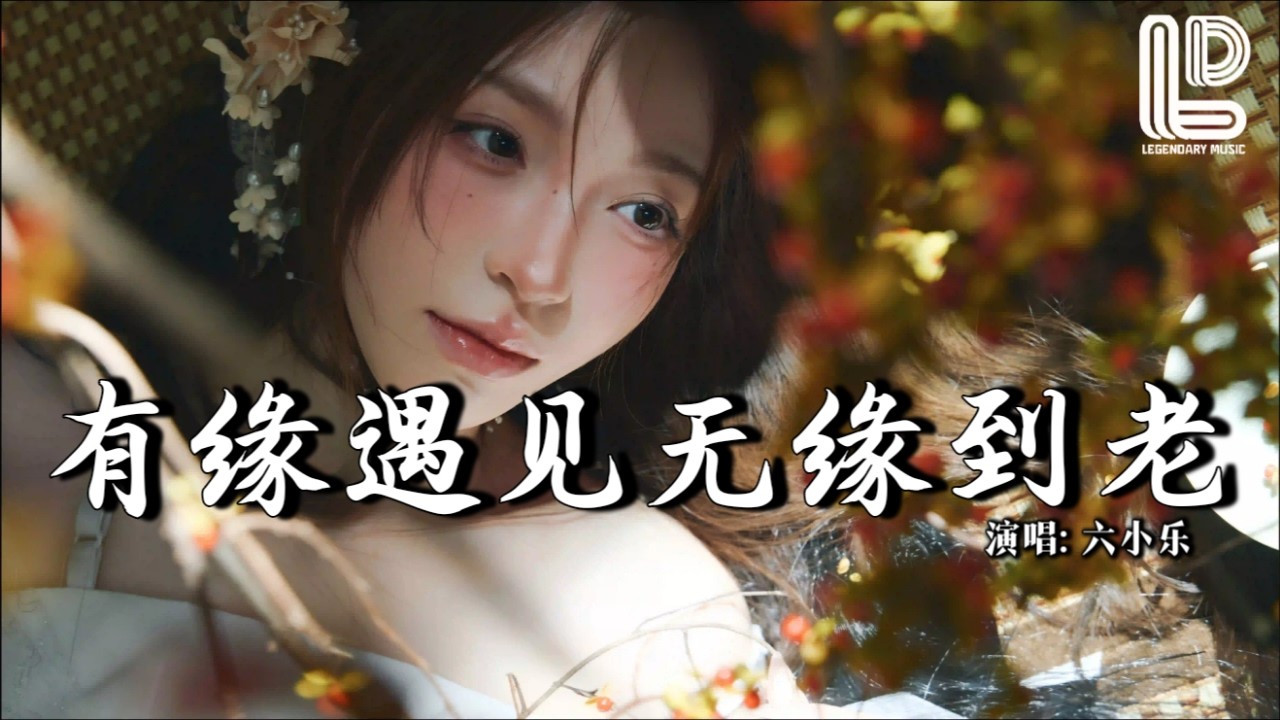 六小乐 - 有缘遇见无缘到老 (抖音热播DJ版) You Yuan Yu Jian Wu Yuan Dao Lao『想留住你想放下你，我都做不到，有缘遇见你无缘爱到老』 热门爆火版『动态歌词MV』