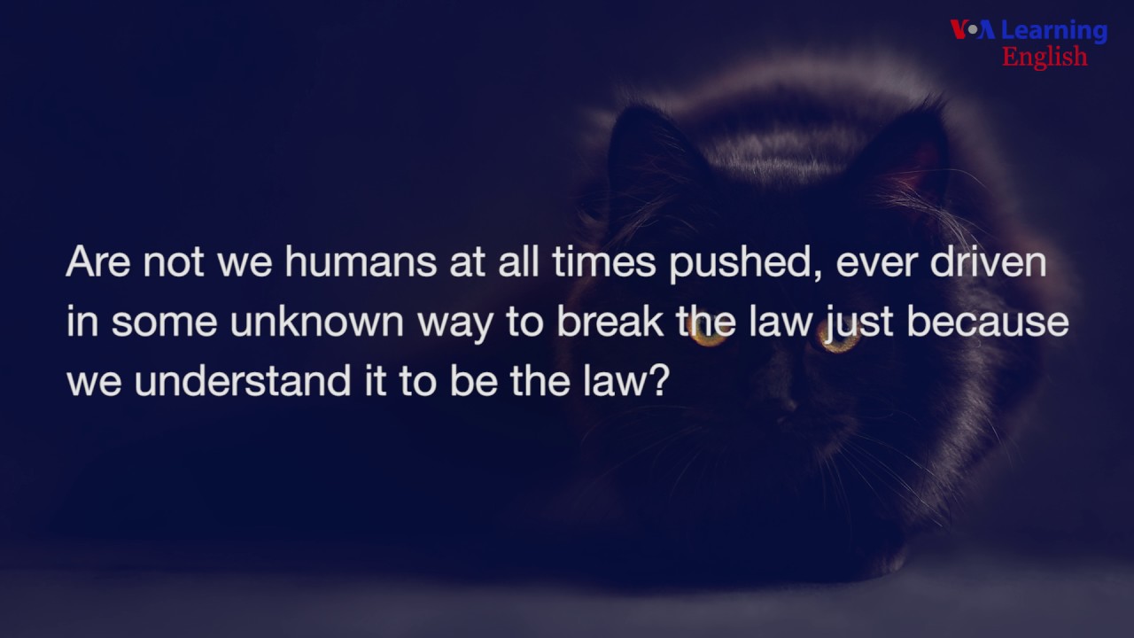 The Black Cat by Edgar Allan Poe