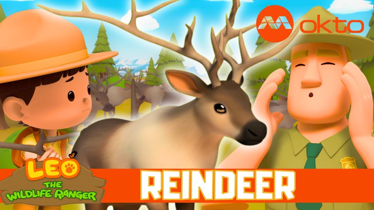 🦌 REINDEER RESCUE MISSION 🧭 JUNIOR RANGERS | Leo the Wildlife Ranger S7E12 |  @mediacorpokto ​