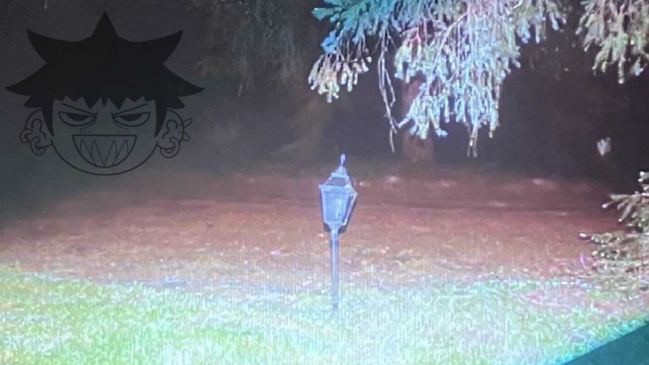 𝐑𝐎𝐀𝐌𝟎𝟏𝟐𝟎.𝐦𝐨𝐯