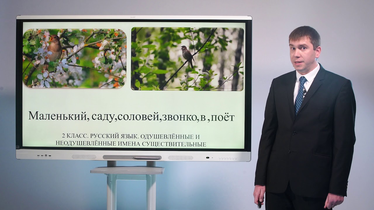 2 класс. Русский язык. Одушевлённые и неодушевлённые имена существительные
