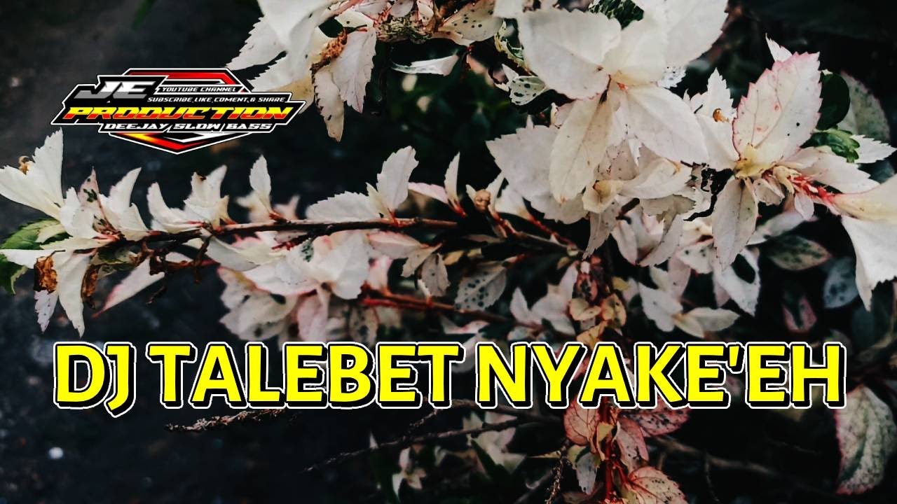 DJ Talebet Nyake'eh Trap X Slowbass | Voc. Muzida