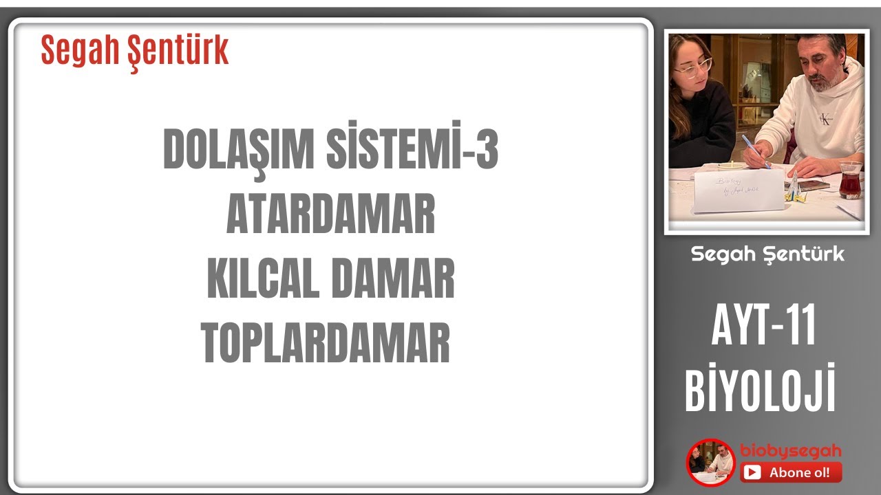 DOLAŞIM SİSTEMİ - 3 | ATARDAMAR-KILCAL DAMAR-TOPLARDAMAR | AYT BİYOLOJİ  | 11.SINIF | YKS 2025