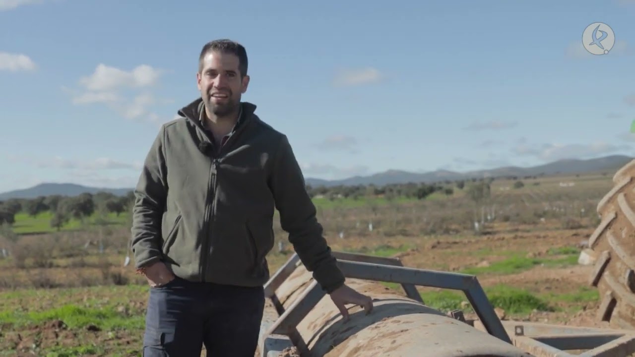 El último paso para preparar las calles del olivar | El campo es vida