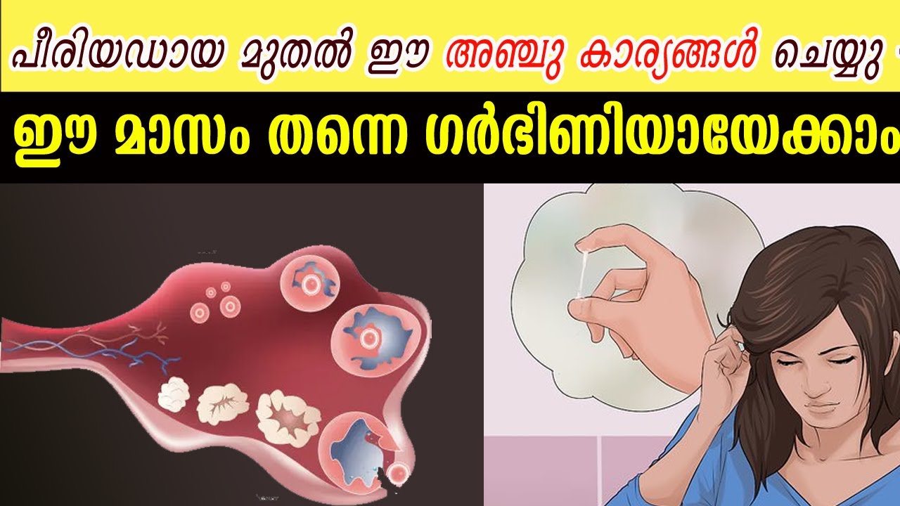 പീരിയഡായ മുതല്‍ ഈ 5 കാര്യങ്ങള്‍ ചെയ്യു - ആ മാസം തന്നെ ഗര്‍ഭിണിയായേക്കാം |fertile for cervical mucus